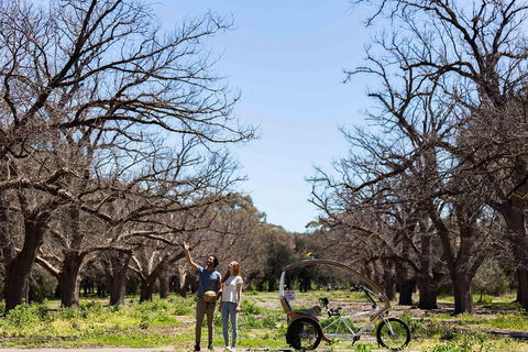 Adelaide 90-Minute Pedicab Tour: Scenic Green & River Experience - Accommodation Cairns 1