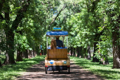 Adelaide 90-Minute Pedicab Tour: Scenic Green & River Experience - Accommodation Cairns 2