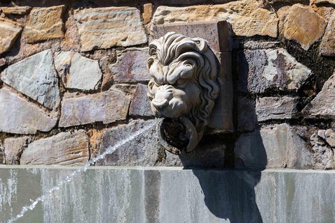 Adelaide 90-Minute Pedicab Tour: Scenic Green & River Experience - Accommodation Cairns 3