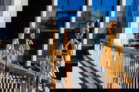 Adelaide 90-Minute Pedicab Tour Street Art Experience