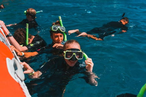 Whitehaven Beach And Hill Inlet Lookout Full-Day Snorkeling Cruise By High-Speed Catamaran - Accommodation Cairns 3