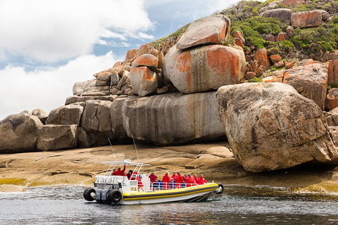 Wilsons Promontory Wilderness Cruise From Tidal River - Accommodation Cairns 4