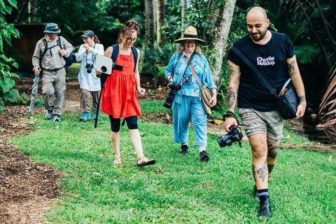 Let's Go Buggin & Let's Go Shroomin - Photography & Nature Walking Tours - Accommodation Cairns 0