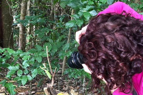 Let's Go Buggin & Let's Go Shroomin - Photography & Nature Walking Tours - Accommodation Cairns 1