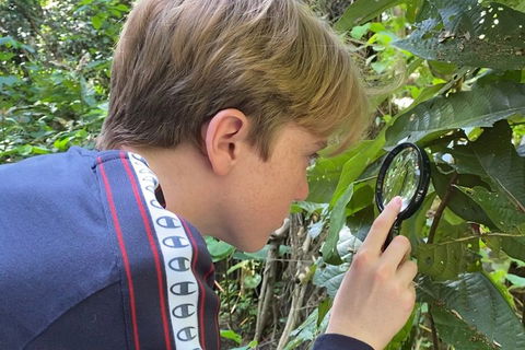 Let's Go Buggin & Let's Go Shroomin - Photography & Nature Walking Tours - Accommodation Cairns 3