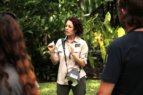 Let's Go Buggin & Let's Go Shroomin - Photography & Nature Walking Tours - Accommodation Cairns 5