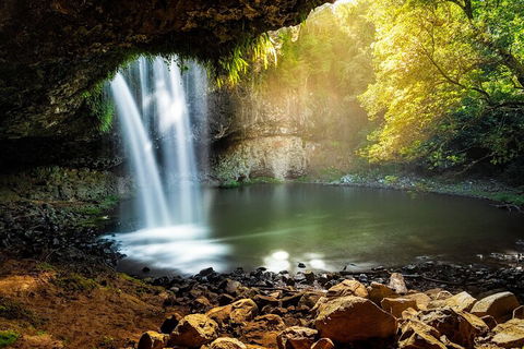 Behind The Bay - Explore Like A Local - Accommodation Cairns 2