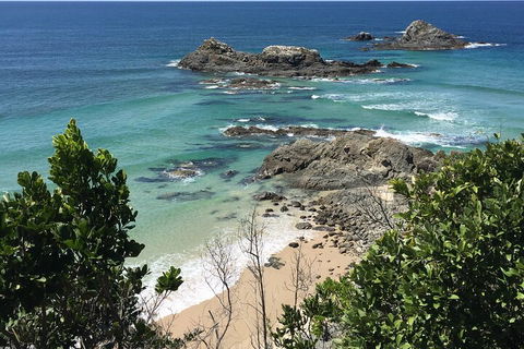 Behind The Bay - Explore Like A Local - Accommodation Cairns 3