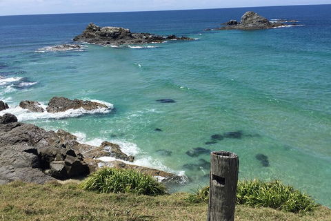 Behind The Bay - Explore Like A Local - Accommodation Cairns 5