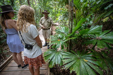 2 Day Daintree Rainforest, Cape Tribulation And Outback Chillagoe Tour - Accommodation Cairns 2