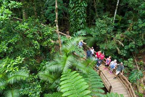 2 Day Daintree Rainforest, Cape Tribulation And Outback Chillagoe Tour - Accommodation Cairns 3