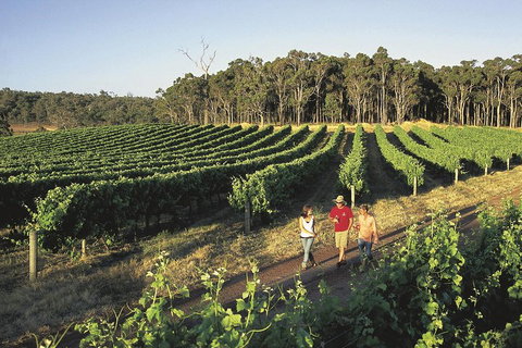 Margaret River, Caves, Wine And Cape Leeuwin Lighthouse Tour From Perth - Accommodation Cairns 1