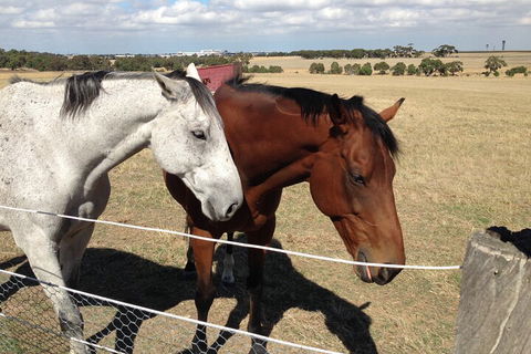 Legends & Champions Tour - Accommodation Cairns 1