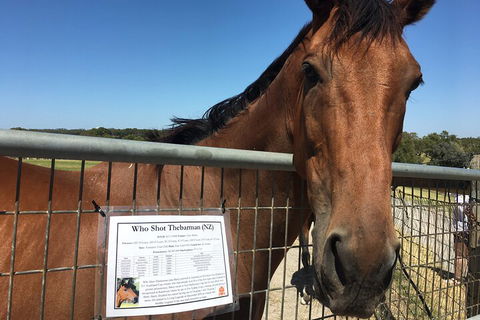Legends & Champions Tour - Accommodation Cairns 4