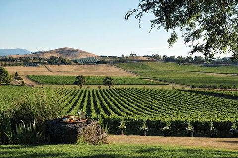 Small Group 6 Guests: Ultimate Yarra Valley Food And Wine - Mercedes Van - Accommodation Cairns 4