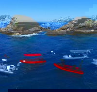 3-Hour Byron Bay Certified Scuba Diving Tour - Accommodation Cairns