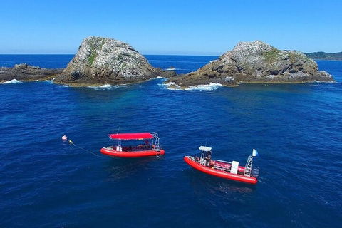 3-Hour Byron Bay Certified Scuba Diving Tour - Accommodation Cairns 0