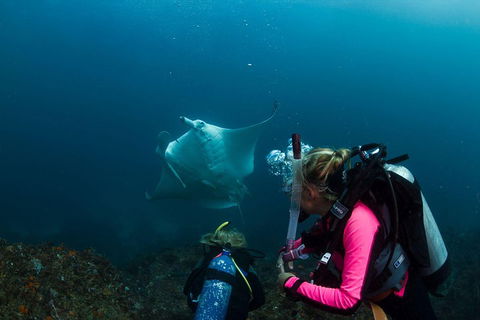 3-Hour Byron Bay Certified Scuba Diving Tour - Accommodation Cairns 2