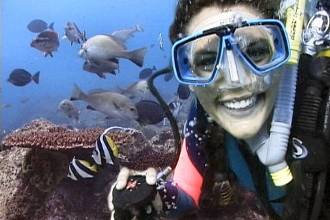 3-Hour Byron Bay Certified Scuba Diving Tour - Accommodation Cairns 5