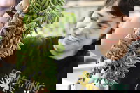 Small-Group Adelaide Central Market Early Breakfast Tour