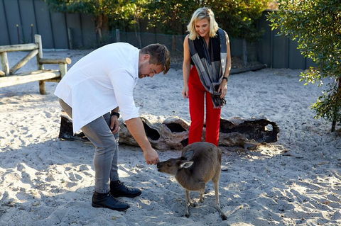 Albany's Whale Story - Accommodation Cairns 1