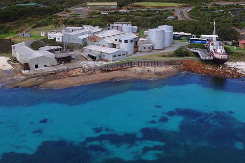 Albany's Whale Story - Accommodation Cairns 4