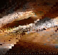 Windjana Explorer - Accommodation Cairns