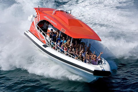 Adventure Rottnest Tour With Ferry & Adventure Cruise From Perth Or Fremantle - Accommodation Cairns 2