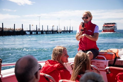 Adventure Rottnest Tour With Ferry & Adventure Cruise From Perth Or Fremantle - Accommodation Cairns 4