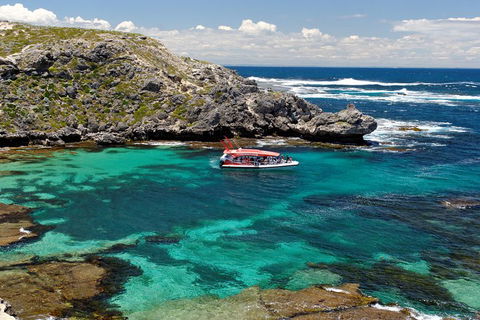 Adventure Rottnest Tour With Ferry & Adventure Cruise From Perth Or Fremantle - Accommodation Cairns 5