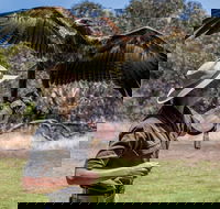 One Day Kangaroo Island Sip  See tour with return ferry transfers from Adelaide - Accommodation Cairns