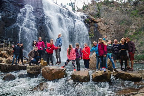 Great Ocean Road And Grampians 2 Day Short Break Escape From Melbourne - Accommodation Cairns 5