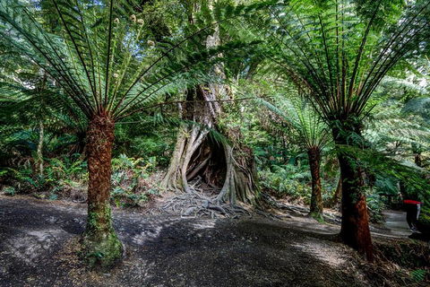 Adelaide To Melbourne 3-Day Trip Through Grampians And Great Ocean Road - Accommodation Cairns 0