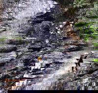 Full-Day Canyoning Experience at Stunning Empress Canyon - Accommodation Cairns