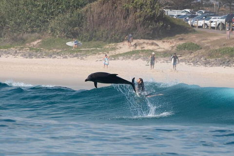 Cruise With Dolphins In Byron Bay - Accommodation Cairns 3
