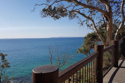 Noosa And Sunshine Coast Hinterland Day Trip From Brisbane - Accommodation Cairns 0