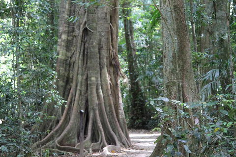 Noosa And Sunshine Coast Hinterland Day Trip From Brisbane - Accommodation Cairns 3