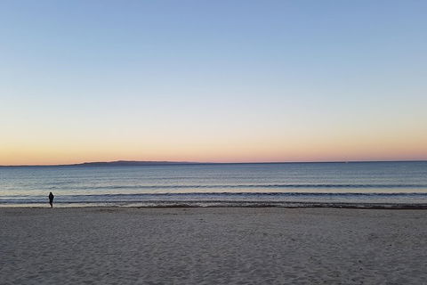 Noosa And Sunshine Coast Hinterland Day Trip From Brisbane - Accommodation Cairns 5