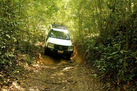 Barron Gorge And Kuranda National Park Half Day Rainforest And Waterfall 4WD Tour From Cairns - Accommodation Cairns 2