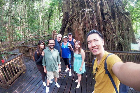 Barron Gorge And Kuranda National Park Half Day Rainforest And Waterfall 4WD Tour From Cairns - Accommodation Cairns 5
