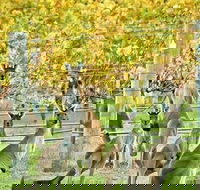 Margaret River Indulge and Discover Day Tour - Accommodation Cairns