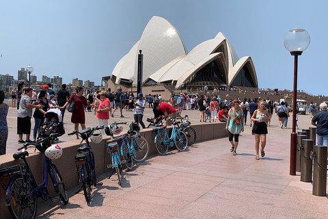 The Big Easy - Accommodation Cairns 4