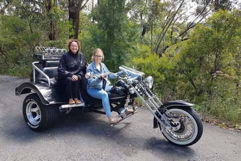 Blue Mountains 1-Hour Trike Tour Of Three Sisters - Accommodation Cairns 1