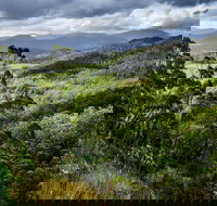 3-Day Tour to the Falls Mountains Lake  More of West Coast Tasmania - Accommodation Cairns
