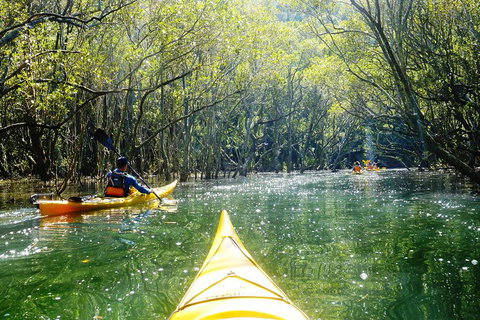 Self-Guided Sydney Middle Harbour Kayak 3 Hour Tour By Double Kayak - Accommodation Cairns 3