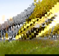 2-Day Private Daylesford  Macedon Ranges Gourmet Food Trail Tour from Melbourne - Accommodation Cairns