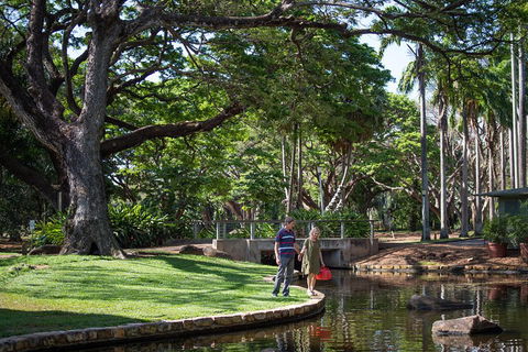 Darwin City Sights And Jumping Crocodile Cruise - Accommodation Cairns 5