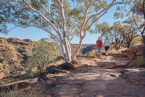 3-Day Tour From Uluru (Ayers Rock) To Alice Springs Via Kings Canyon - Accommodation Cairns 1
