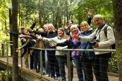 All Inclusive Blue Mountains Small-Group Day Trip From Sydney - Accommodation Cairns 5