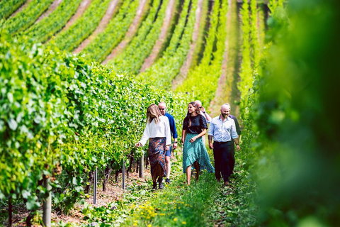 Tasmanian Wine Tour - Accommodation Cairns 0
